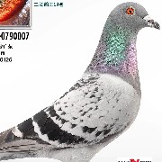 ����TA�ĸ�����