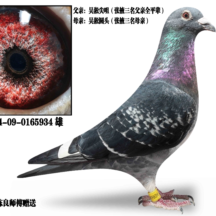 ����TA�ĸ�����