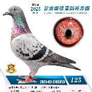 ����TA�ĸ�����