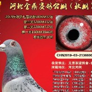 ����TA�ĸ�����