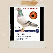 ����TA�ĸ�����