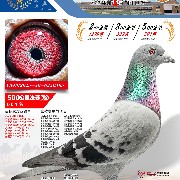 ����TA�ĸ�����