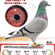 ����TA�ĸ�����