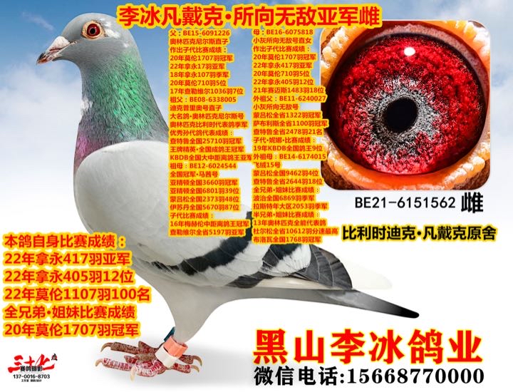 ����TA�ĸ�����