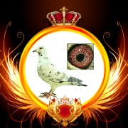 ����TA�ĸ�����