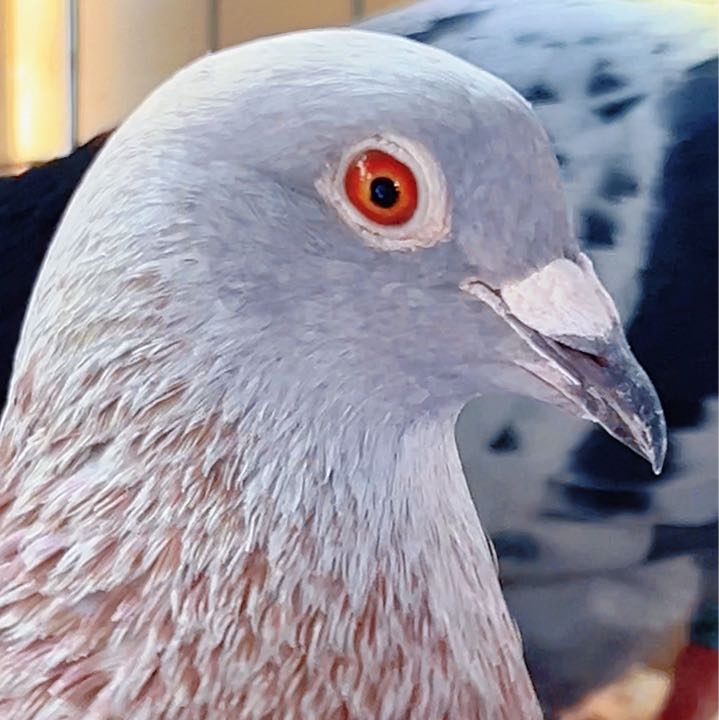 ����TA�ĸ�����