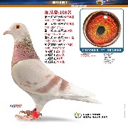 ����TA�ĸ�����