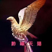 ����TA�ĸ�����