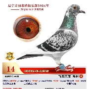 ����TA�ĸ�����