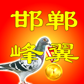 ����TA�ĸ�����