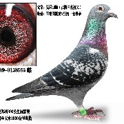 ����TA�ĸ�����