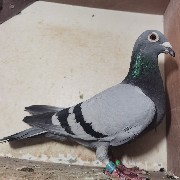 ����TA�ĸ�����