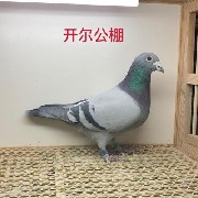����TA�ĸ�����