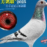 ����TA�ĸ�����