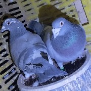����TA�ĸ�����