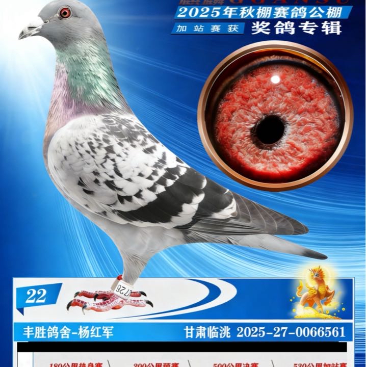 ����TA�ĸ�����