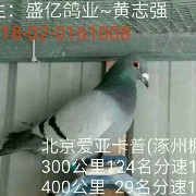 ����TA�ĸ�����