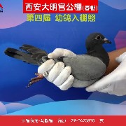 ����TA�ĸ�����
