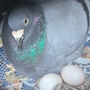 ����TA�ĸ�����