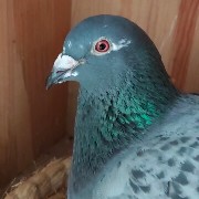 ����TA�ĸ�����