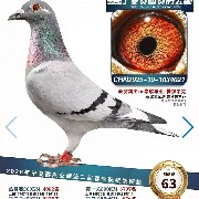 ����TA�ĸ�����