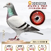����TA�ĸ�����