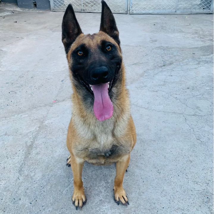 ����TA�ĸ�����
