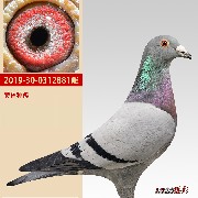����TA�ĸ�����