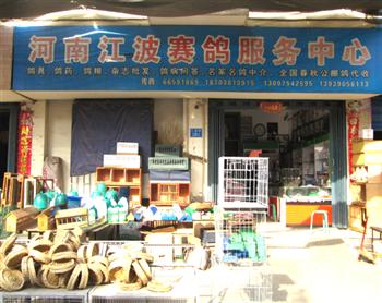 河南江波赛鸽服务中心