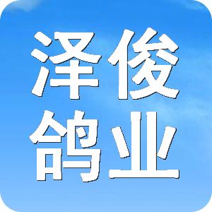 泽俊鸽业