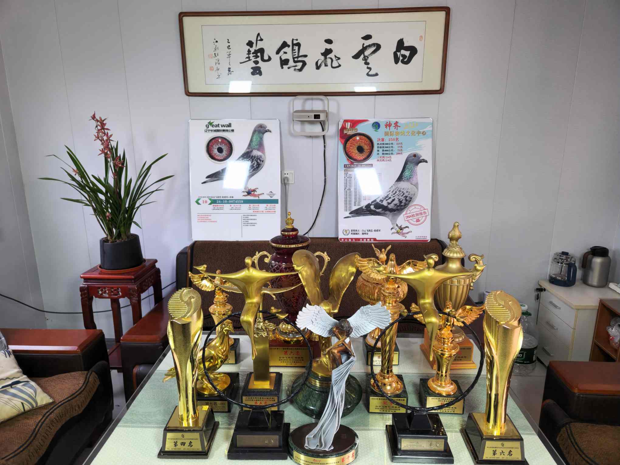 ������뱾չ�����