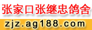 ҿڏ^