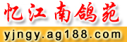佭ϸԷ