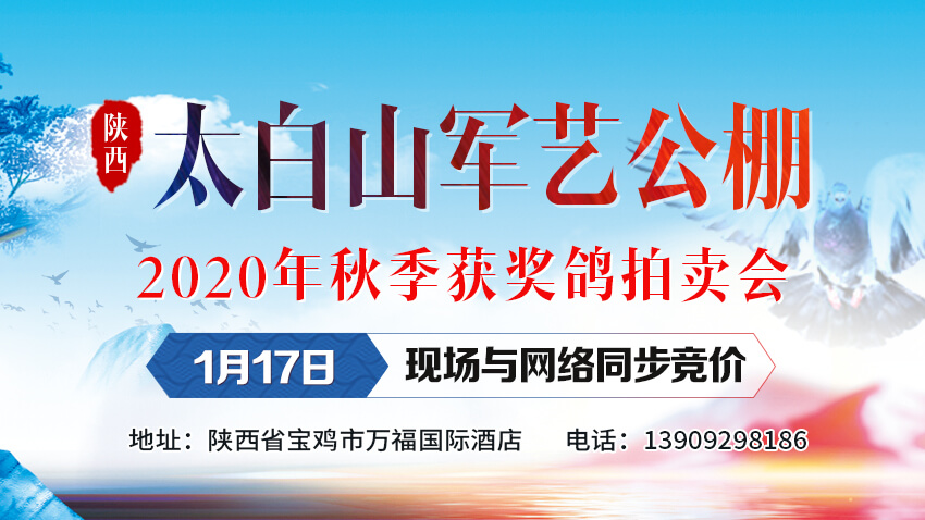 陕西太白山军艺公棚2020年获奖鸽同步拍卖会