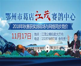 20181113142738.jpg