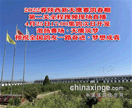 中国信鸽信息网视频直播