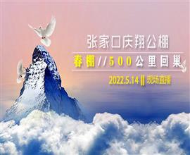 中国信鸽信息网视频直播