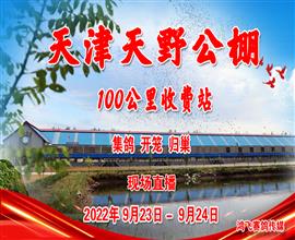 中国信鸽信息网视频直播