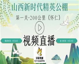 中国信鸽信息网视频直播