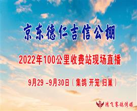 中国信鸽信息网视频直播