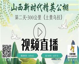 中国信鸽信息网视频直播