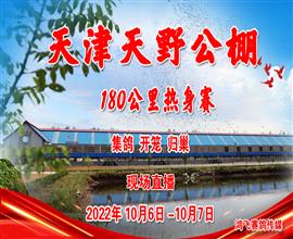 中国信鸽信息网视频直播