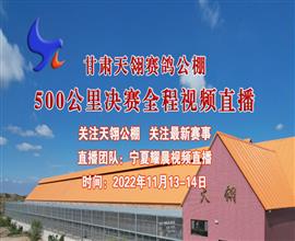 中国信鸽信息网视频直播