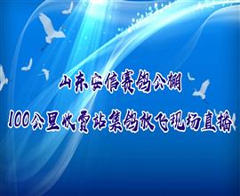 中国信鸽信息网视频直播