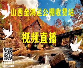 中国信鸽信息网视频直播