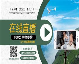 中国信鸽信息网视频直播