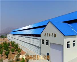 中国信鸽信息网视频直播