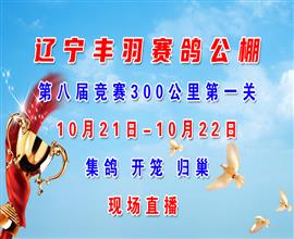 中国信鸽信息网视频直播