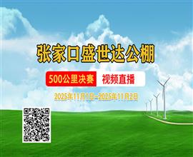 中国信鸽信息网视频直播