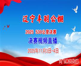 中国信鸽信息网视频直播